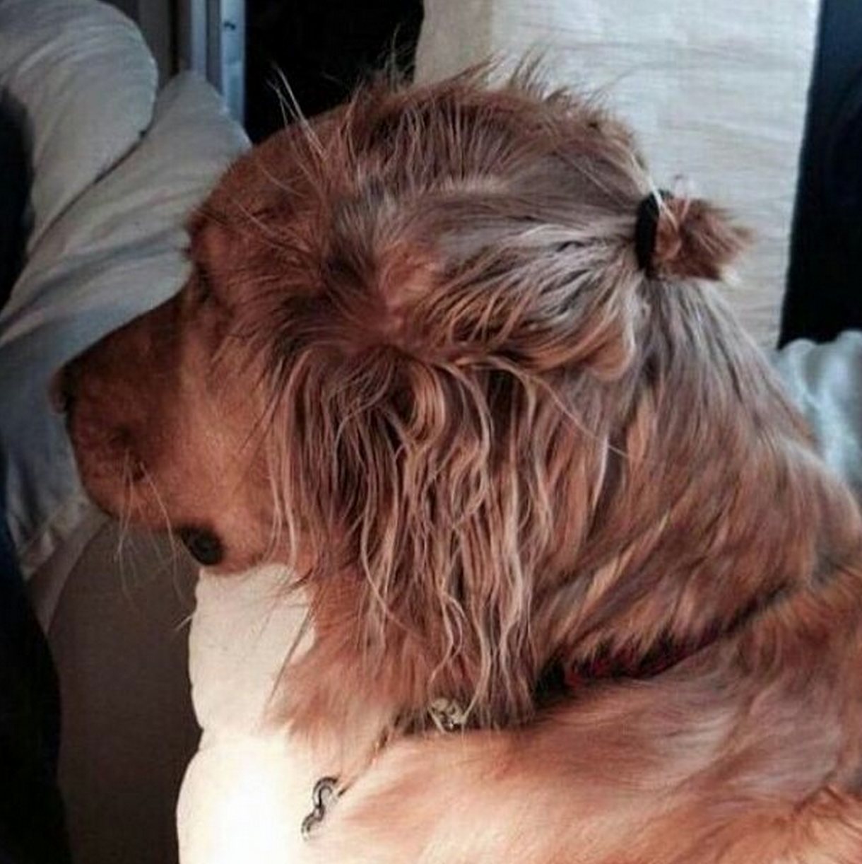 Så mycket bättre än en man bun... Så mycket bättre än en man bun...